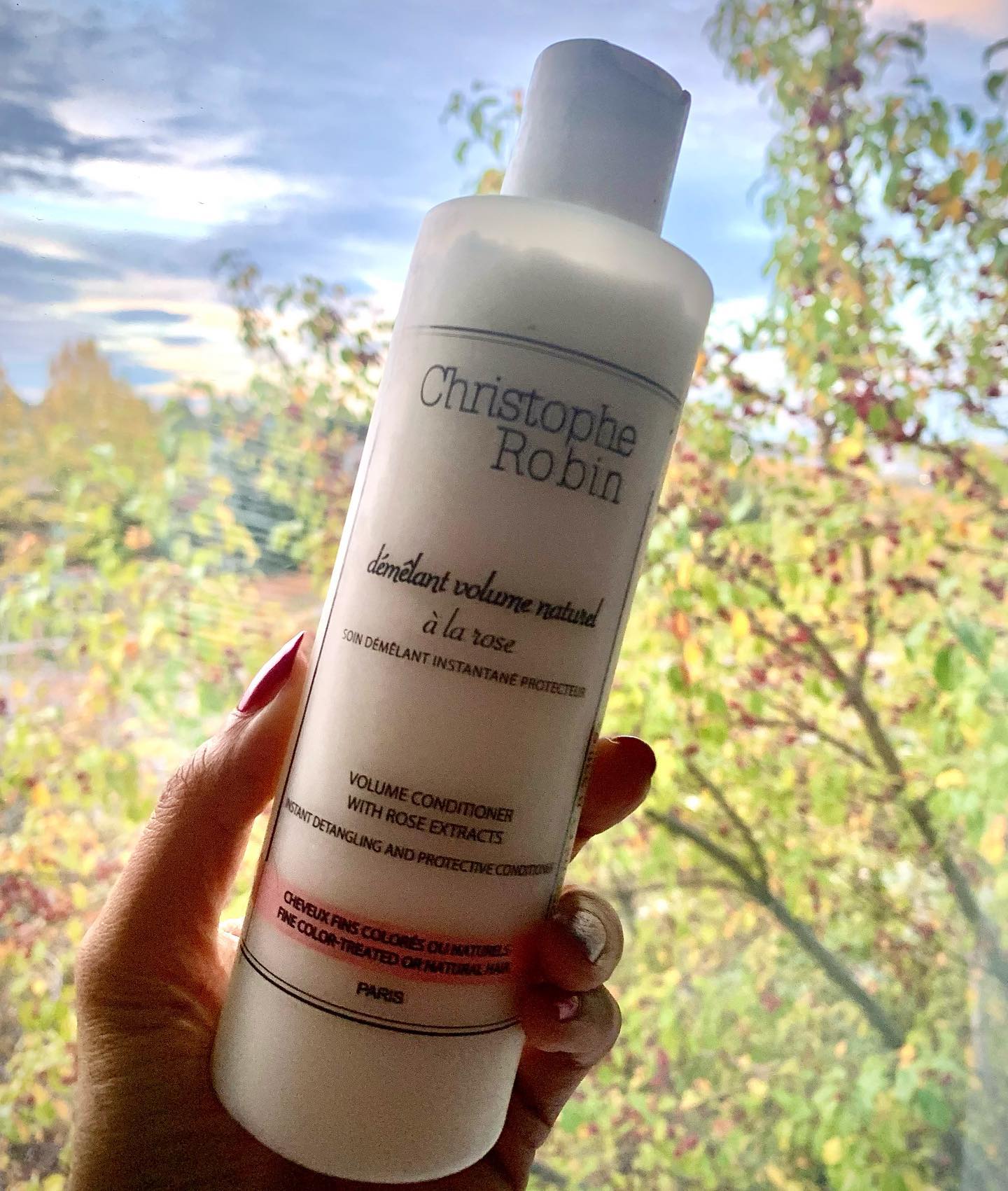 Christophe Robin Volume Conditioner Review | Canadian Beauty